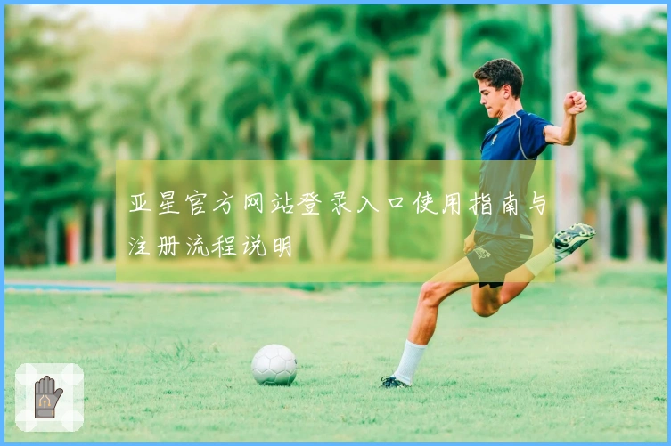 亚星官方网站登录入口使用指南与注册流程说明