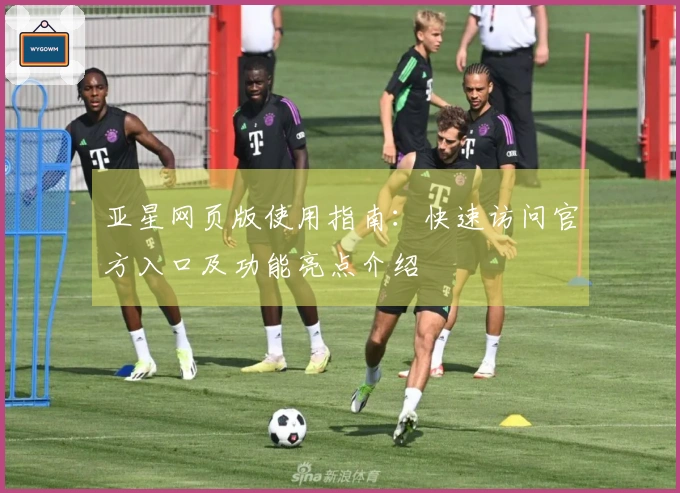 亚星网页版使用指南：快速访问官方入口及功能亮点介绍