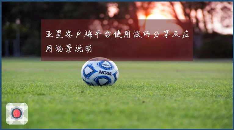 亚星客户端平台使用技巧分享及应用场景说明